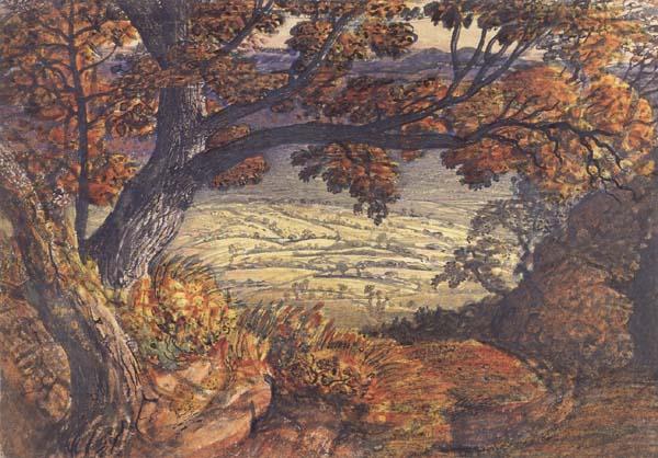 Samuel Palmer The Weald of Kent oil painting image